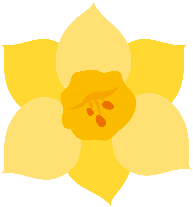 Narcissus flower
