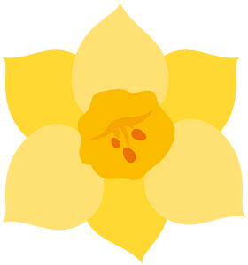 Narcissus flower