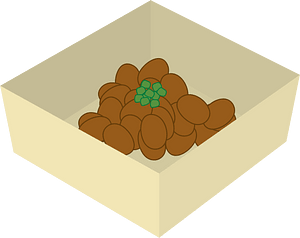 Natto food