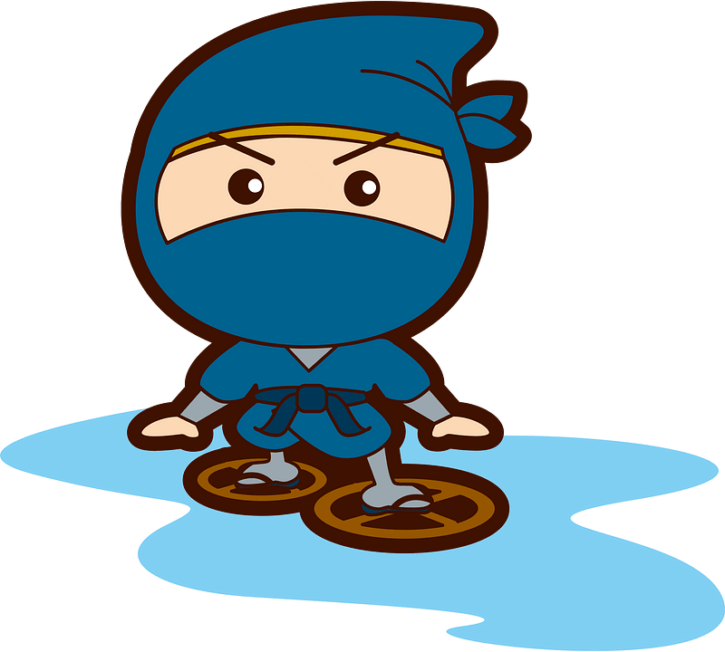Ninja shinobi