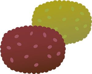 Ohagi botamochi