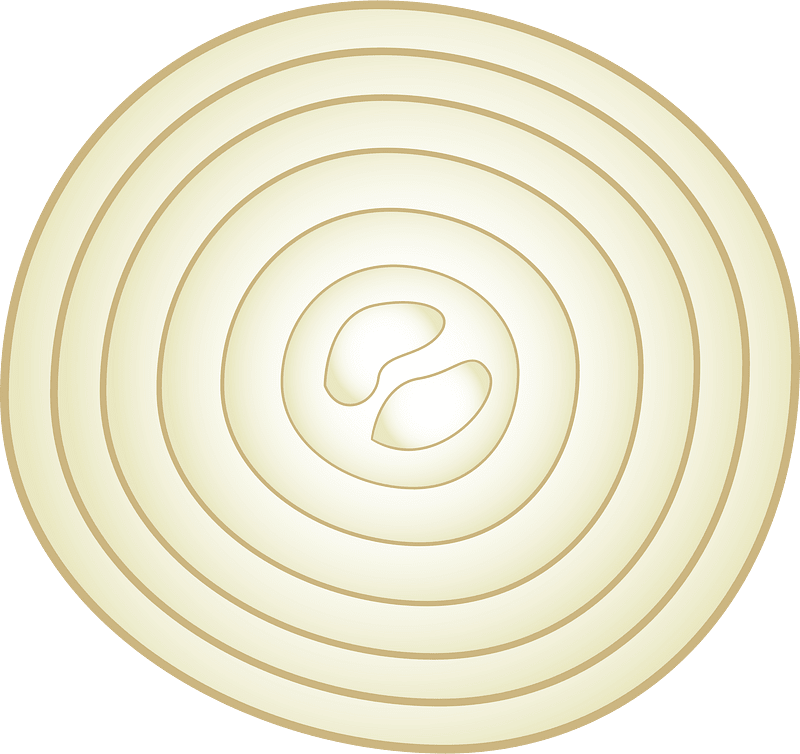 Soğan