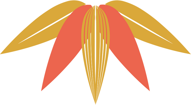 Orange yellow leaves