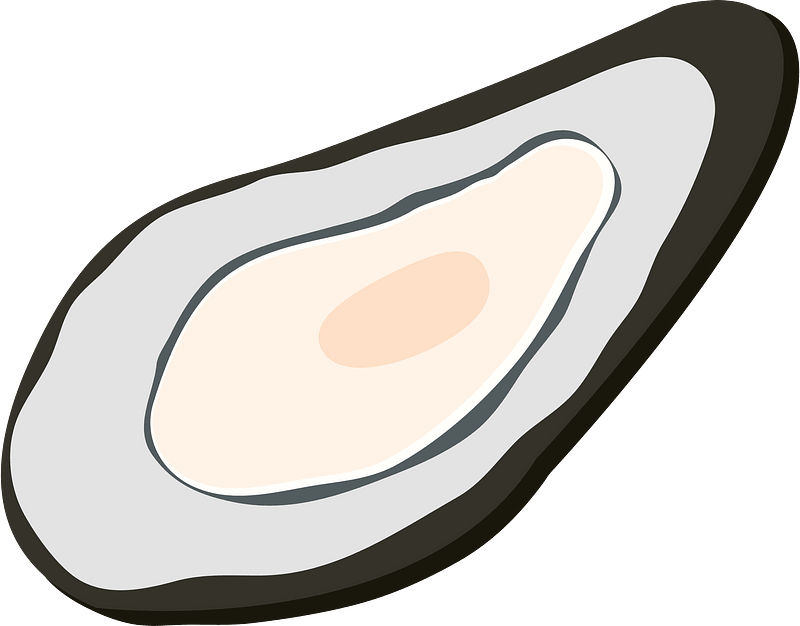 Oyster shellfish