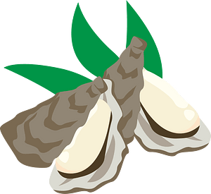 Oyster shellfish