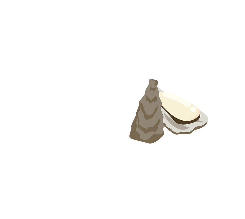 Oyster shellfish