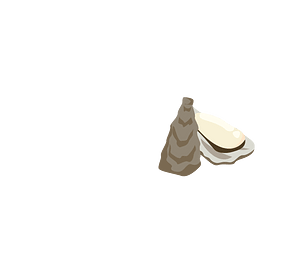 Oyster shellfish