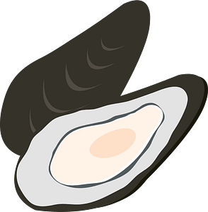 Oyster shellfish