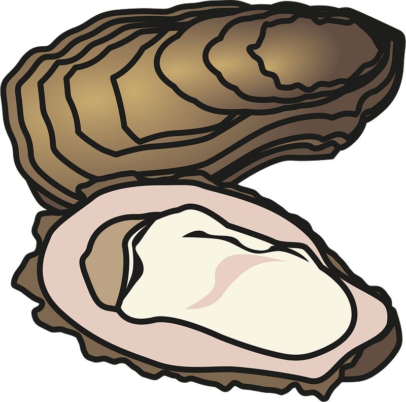 Oyster shellfish