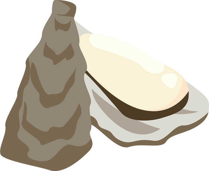 Oyster shellfish