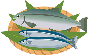 Pacific saury