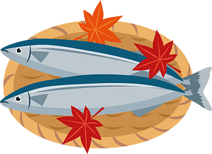 Pacific saury
