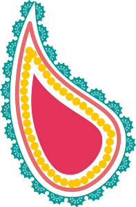 Paisley pattern