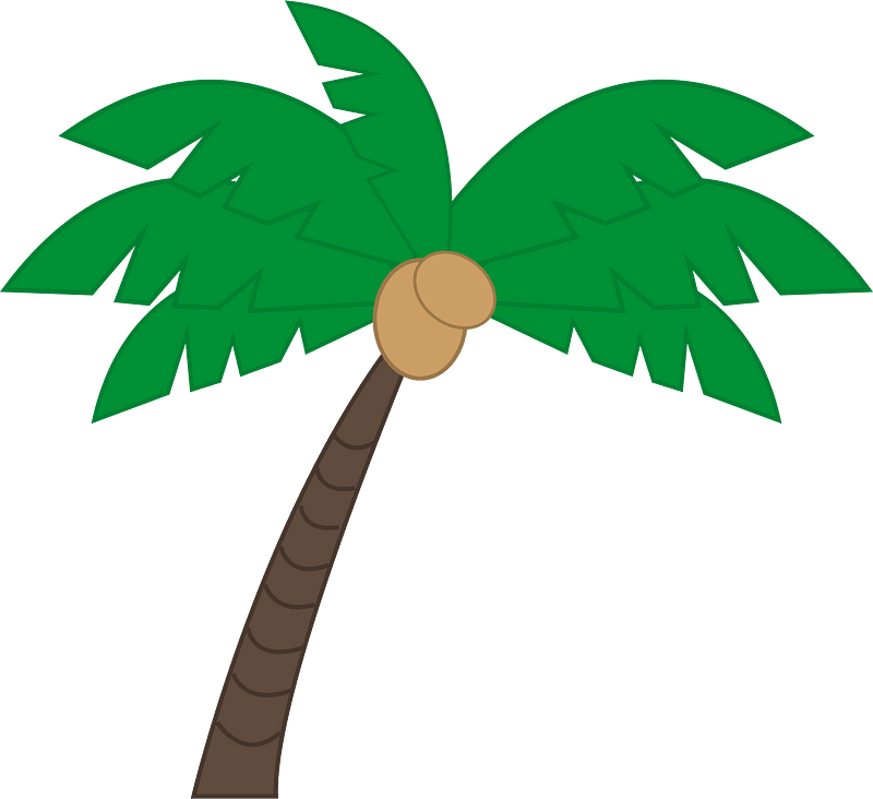 Palm tree