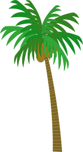 Palm