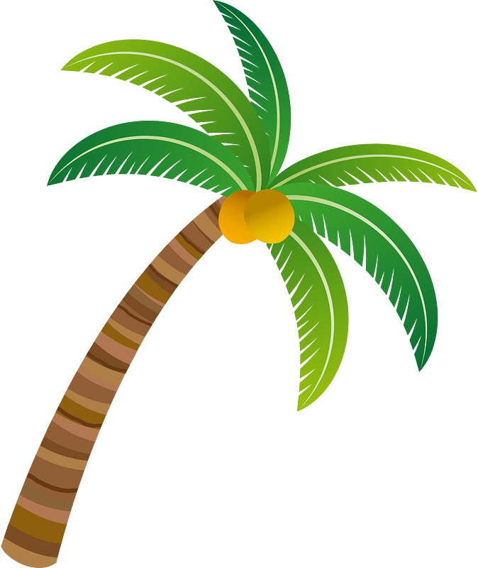 Palm