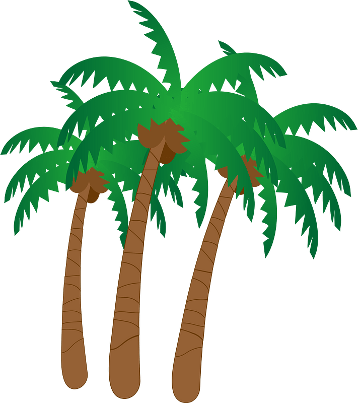 Palm