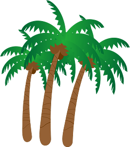 Palm