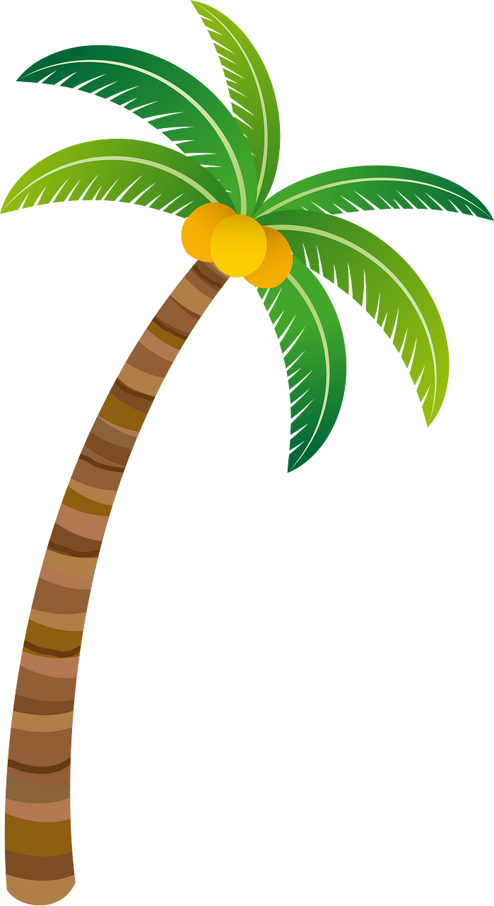Palm