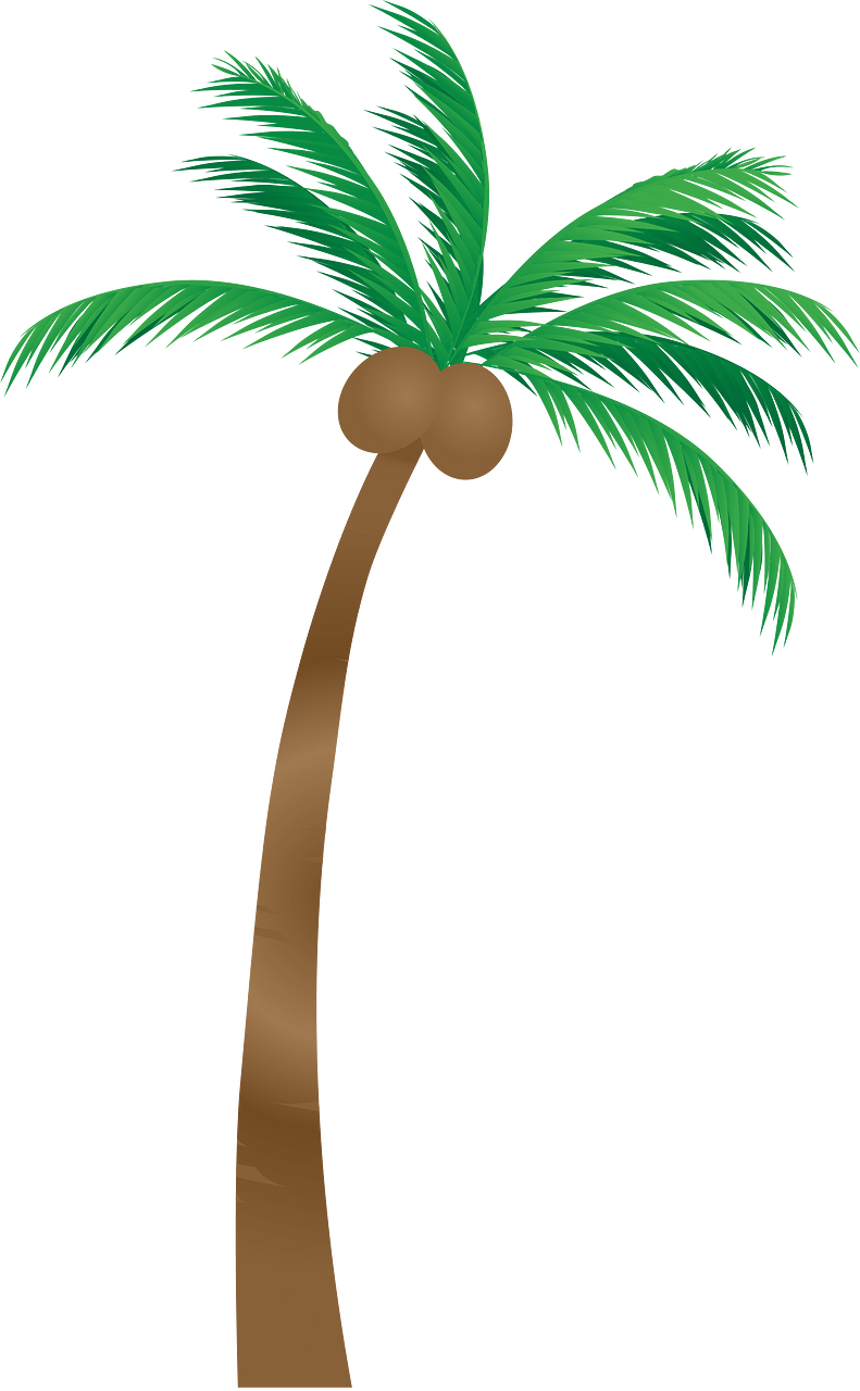 Palm