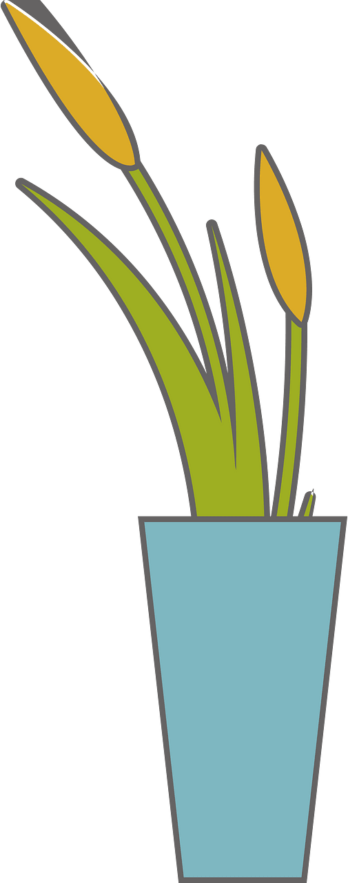 Pampas grass