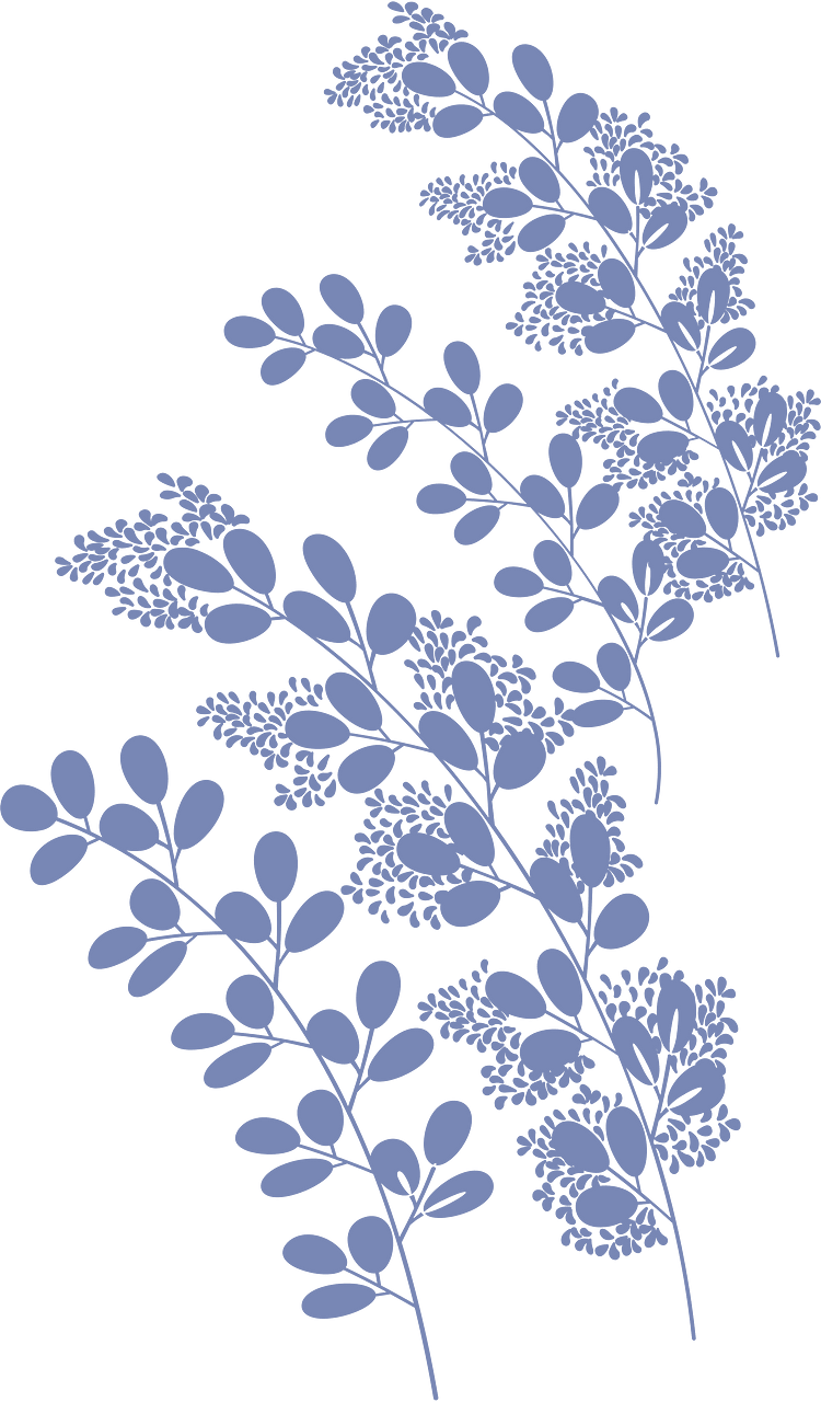 Pampass grass