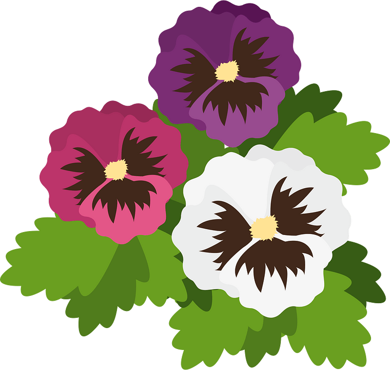 Viola del pensiero