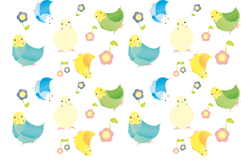 Parakeet background