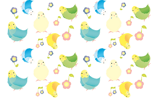 Parakeet background
