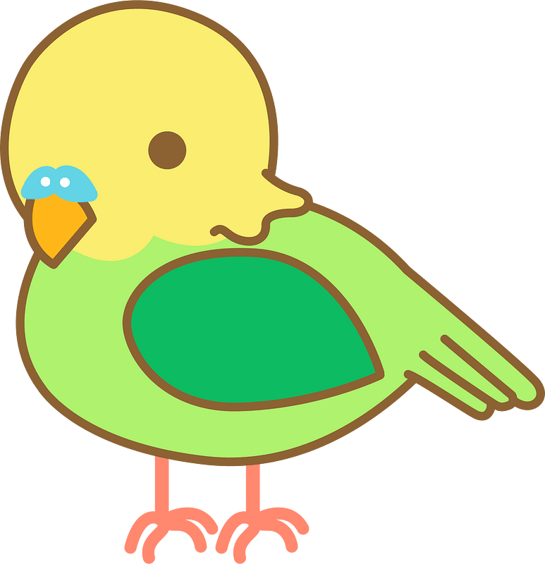 잉꼬