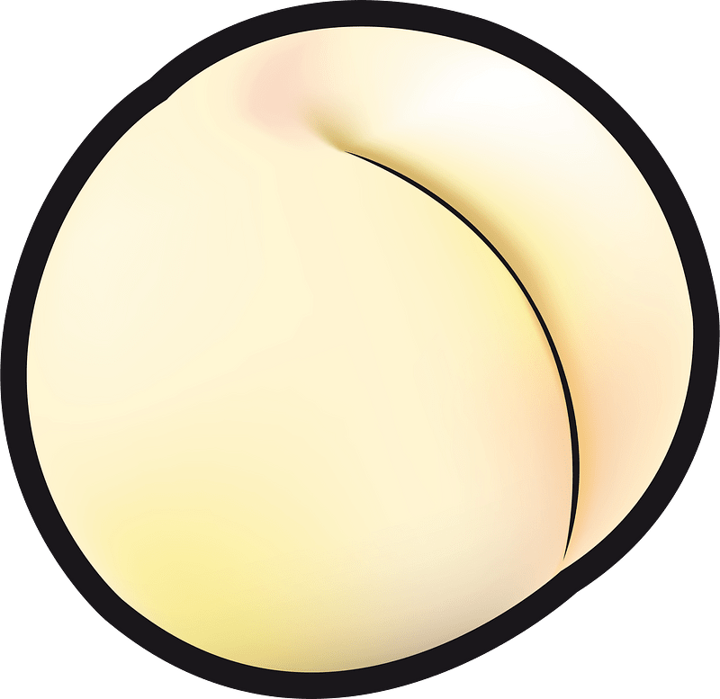 Pêche