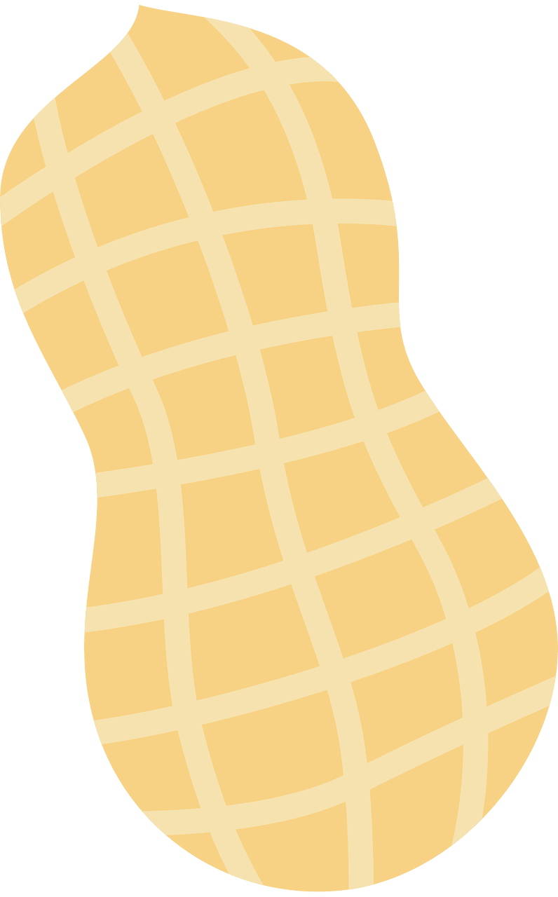 Kacang tanah