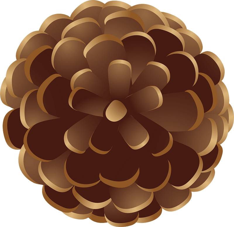 Pine cone