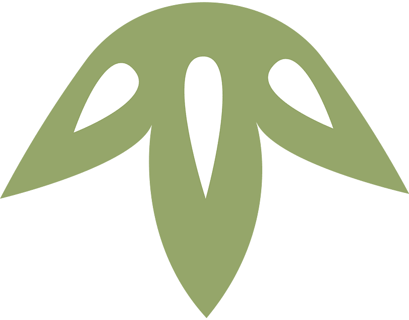 Pine decoration