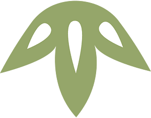 Pine decoration