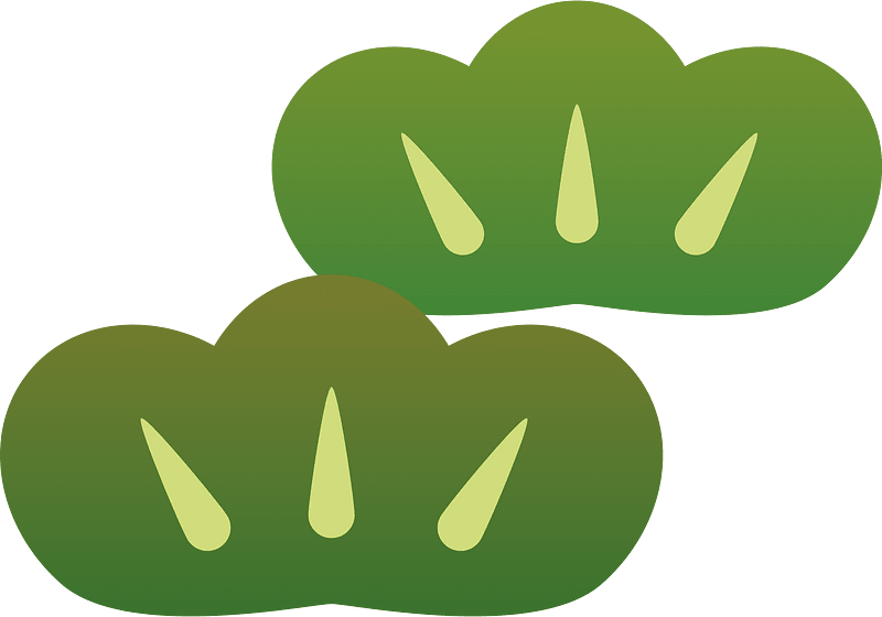 Pine
