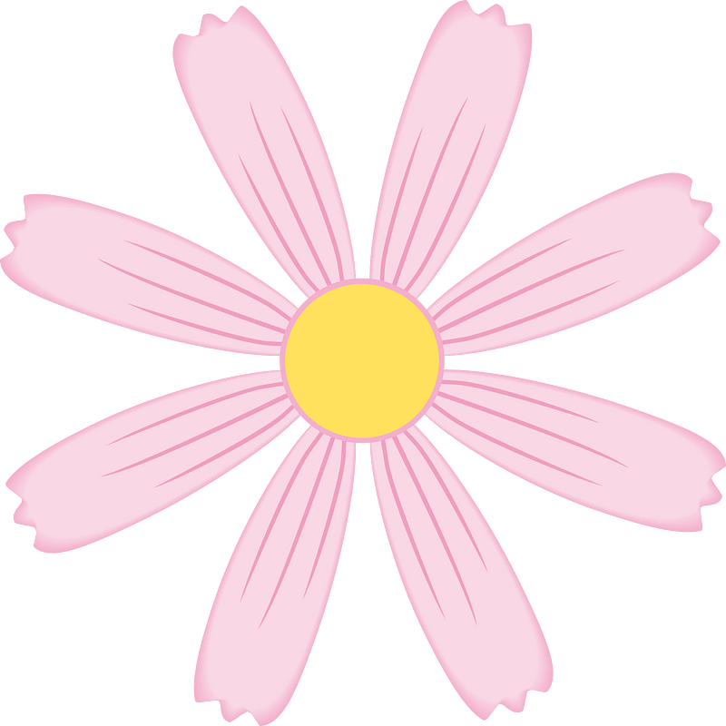 Pink flower