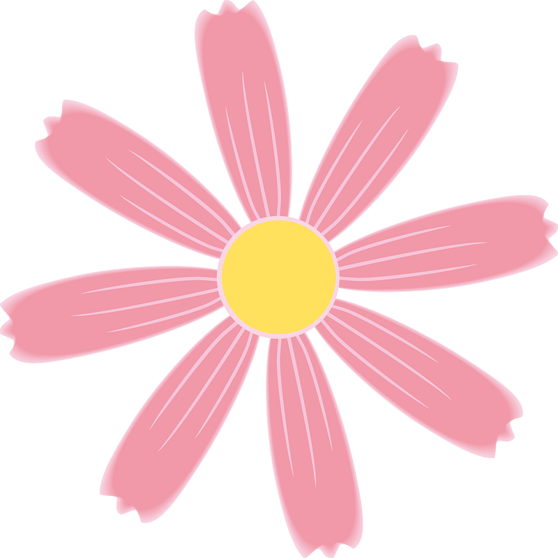 Fiore rosa