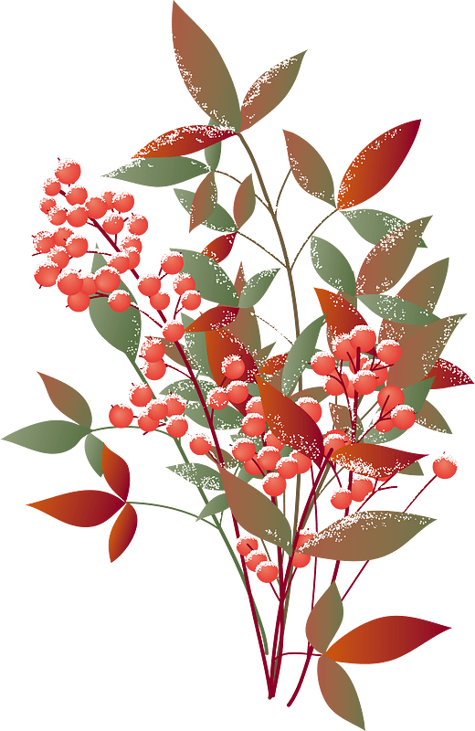 Plant berries