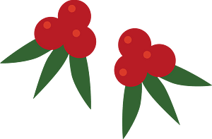 Plant berries