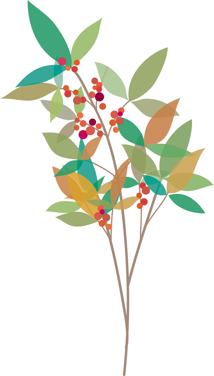 Plant berries