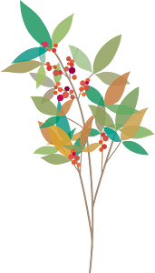 Plant berries