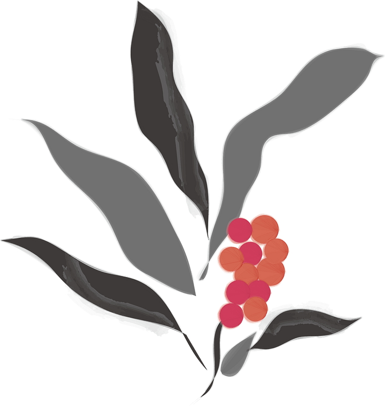 Plant berries
