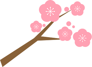 Plum branch