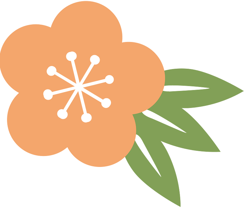 Plum flower