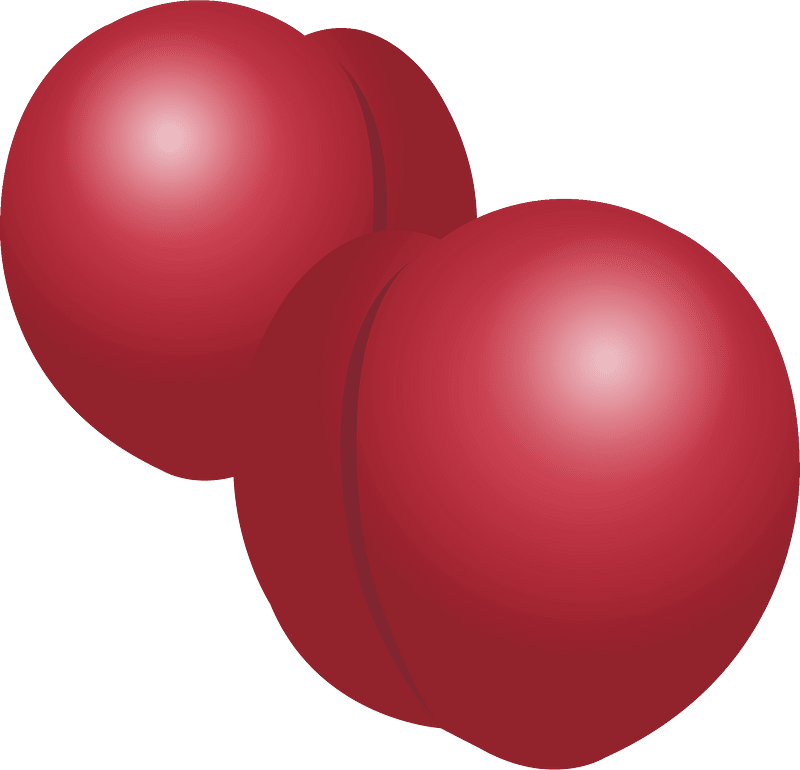 Слива