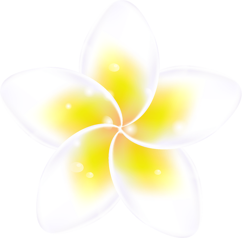 Plumeria blue sky