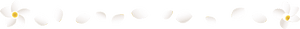 Plumeria decorative line