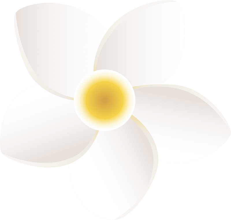 Plumeria flower