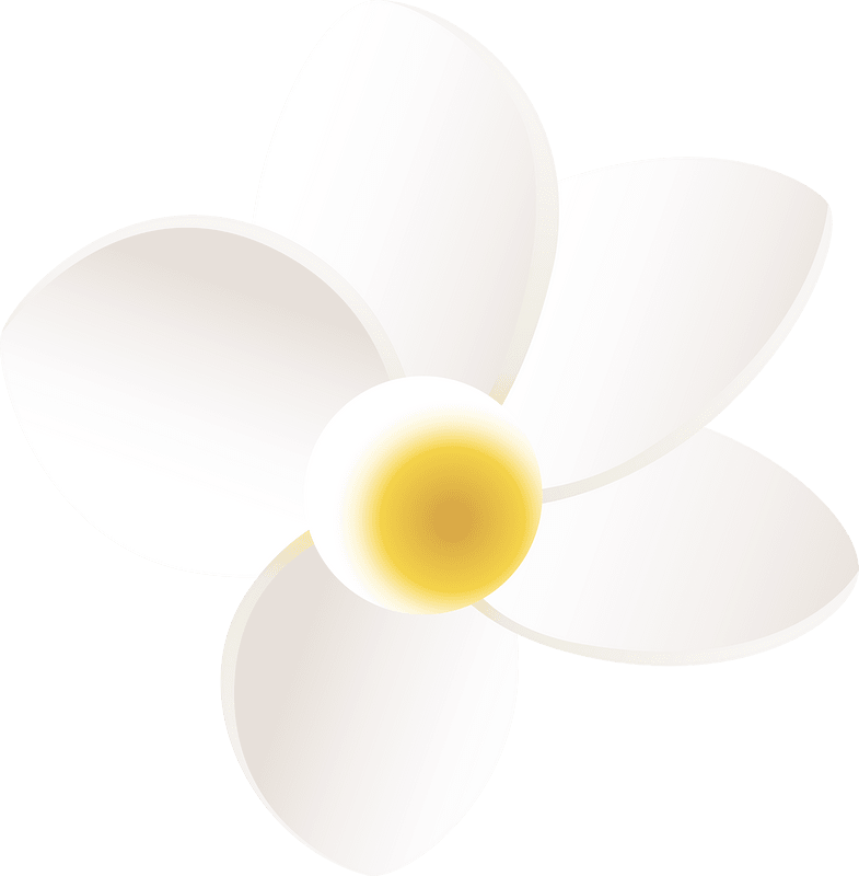 Plumeria flower